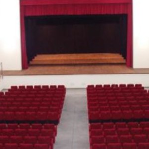 Auditorium-platea-interna-300x300